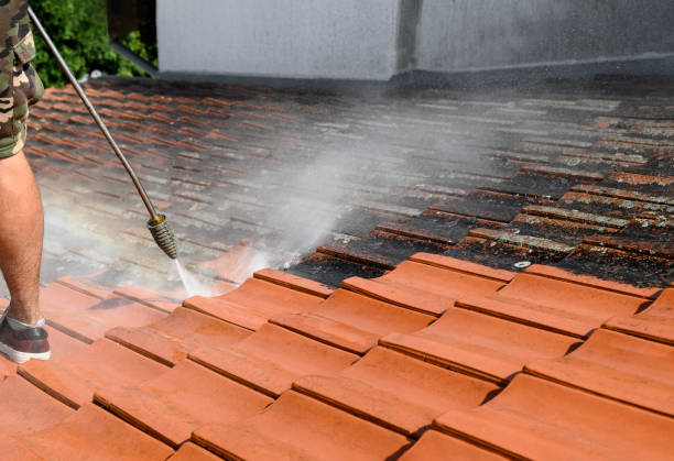 Local Pressure Washing Services in Nellieburg, MS