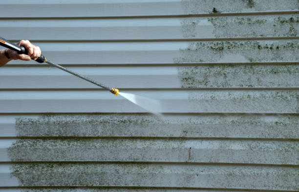 Best Residential Pressure Washing Services  in Nellieburg, MS