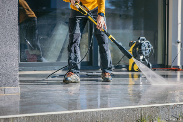 Best Power Washing Near Me  in Nellieburg, MS